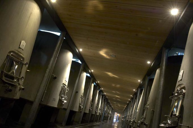Pontet-Canet-0019